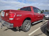 Used 2004 Nissan Titan LE w/ (OF1) LE Off-Road Pkg image 4