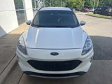 Used 2020 Ford Escape Titanium image 2