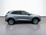 Used 2022 Ford Escape SE w/ Convenience Package image 4