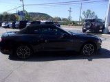 Used 2022 Ford Mustang Premium image 5