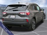 Used 2022 Ford Escape SE w/ SE Sport Appearance Package image 4