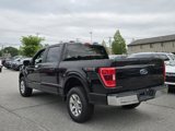 Certified 2023 Ford F150 XLT image 6