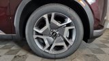 Certified 2024 Hyundai Palisade Limited image 5