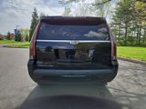 Used 2019 Cadillac Escalade Luxury image 5