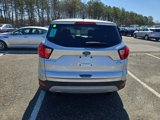 Used 2019 Ford Escape SE image 6