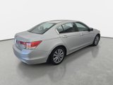 Used 2011 Honda Accord EX-L image 5
