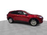 New 2025 Ford Escape Active w/ Active Premium Tech Pack image 4