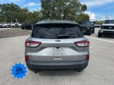 Used 2021 Ford Escape SE w/ SE Sport Appearance Package image 4