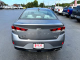 Used 2019 Hyundai Sonata ECO image 3