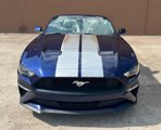 Used 2019 Ford Mustang Premium image 5