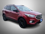 Used 2017 Ford Escape SE w/ Equipment Group 201A image 3