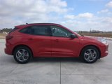 Used 2024 Ford Escape ST-Line image 3