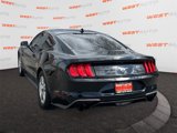 Used 2020 Ford Mustang Coupe image 3