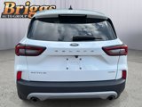 Used 2023 Ford Escape Active w/ Tech Pack #1 image 4