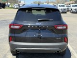 New 2025 Ford Escape ST-Line image 3