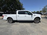 Used 2017 Ford F150 XLT w/ Equipment Group 302A Luxury image 3