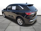 Used 2020 Ford Escape SE image 3
