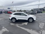 Used 2022 Ford Escape SE w/ Convenience Package image 2