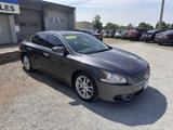 Used 2009 Nissan Maxima 3.5 SV w/ Premium Pkg image 3