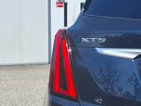 Used 2021 Cadillac XT5 Premium Luxury image 6