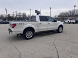Used 2013 Ford F150 Platinum image 4