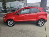 Used 2020 Ford EcoSport SE image 2