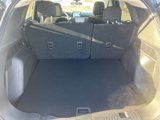 New 2025 Ford Escape Active w/ Cold Weather Package image 6