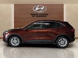 Used 2021 Ford Escape SE w/ Cold Weather Package image 2