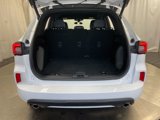 Used 2023 Ford Escape ST-Line image 6