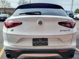 Used 2019 Alfa Romeo Stelvio Ti image 5