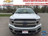 Used 2019 Ford F150 XLT w/ Equipment Group 302A Luxury image 2