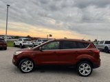 Certified 2019 Ford Escape Titanium image 6