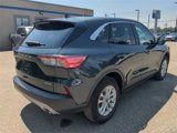 Certified 2022 Ford Escape SE w/ Cold Weather Package image 5