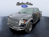 Used 2011 Ford F150 Raptor w/ Raptor Luxury Pkg image 2