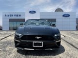Used 2023 Ford Mustang Premium image 2