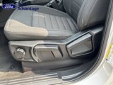 Used 2019 Ford Ranger XLT w/ FX4 Off-Road Package image 5