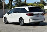 Used 2025 Honda Odyssey EX-L image 6