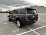 Used 2017 Cadillac Escalade Platinum image 6