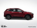 Used 2022 Ford Escape Titanium w/ Titanium Premium Package image 2