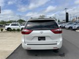 Used 2020 Toyota Sienna XLE image 4