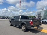 Used 2016 Ford F150 XLT w/ Equipment Group 302A Luxury image 3