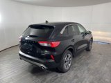 Used 2022 Ford Escape SEL image 6