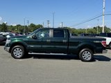 Used 2014 Ford F150 XLT w/ Equipment Group 302A Luxury image 3