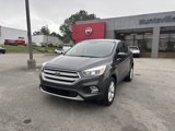 Used 2019 Ford Escape SE image 2