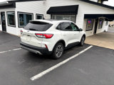 Used 2020 Ford Escape SEL image 5