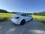 Used 2021 Tesla Model 3 Standard Range Plus image 4