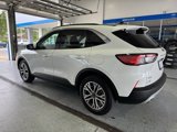 Used 2022 Ford Escape SEL w/ Technology Package image 5