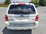 Used 2010 Ford Escape Limited image 4