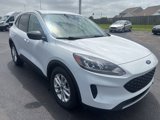 Used 2022 Ford Escape SE image 3