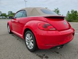 Used 2015 Volkswagen Beetle TDI image 5